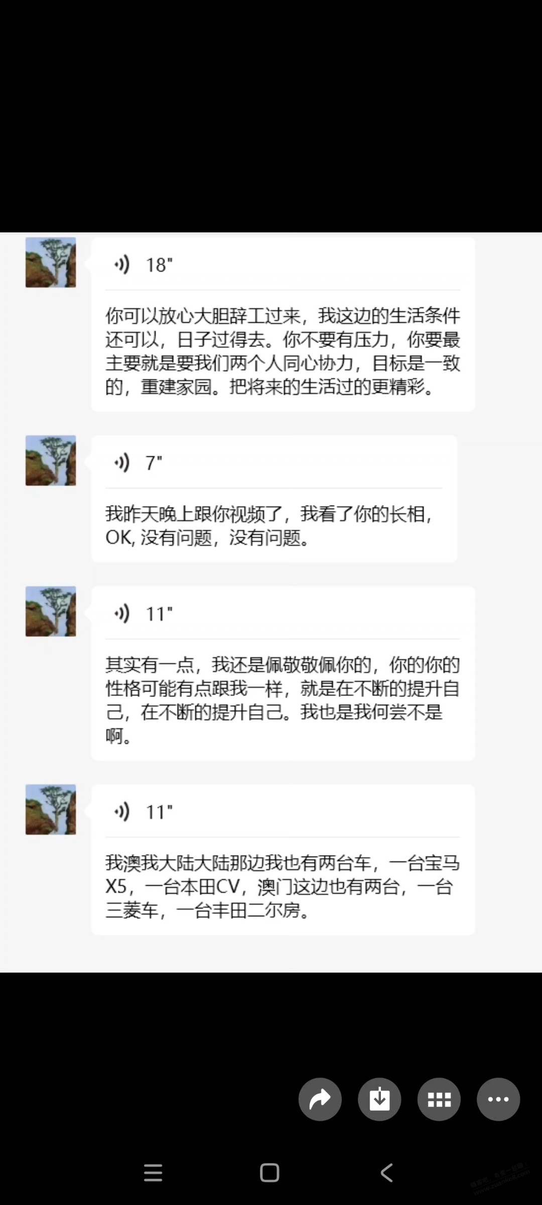 d5.jpg