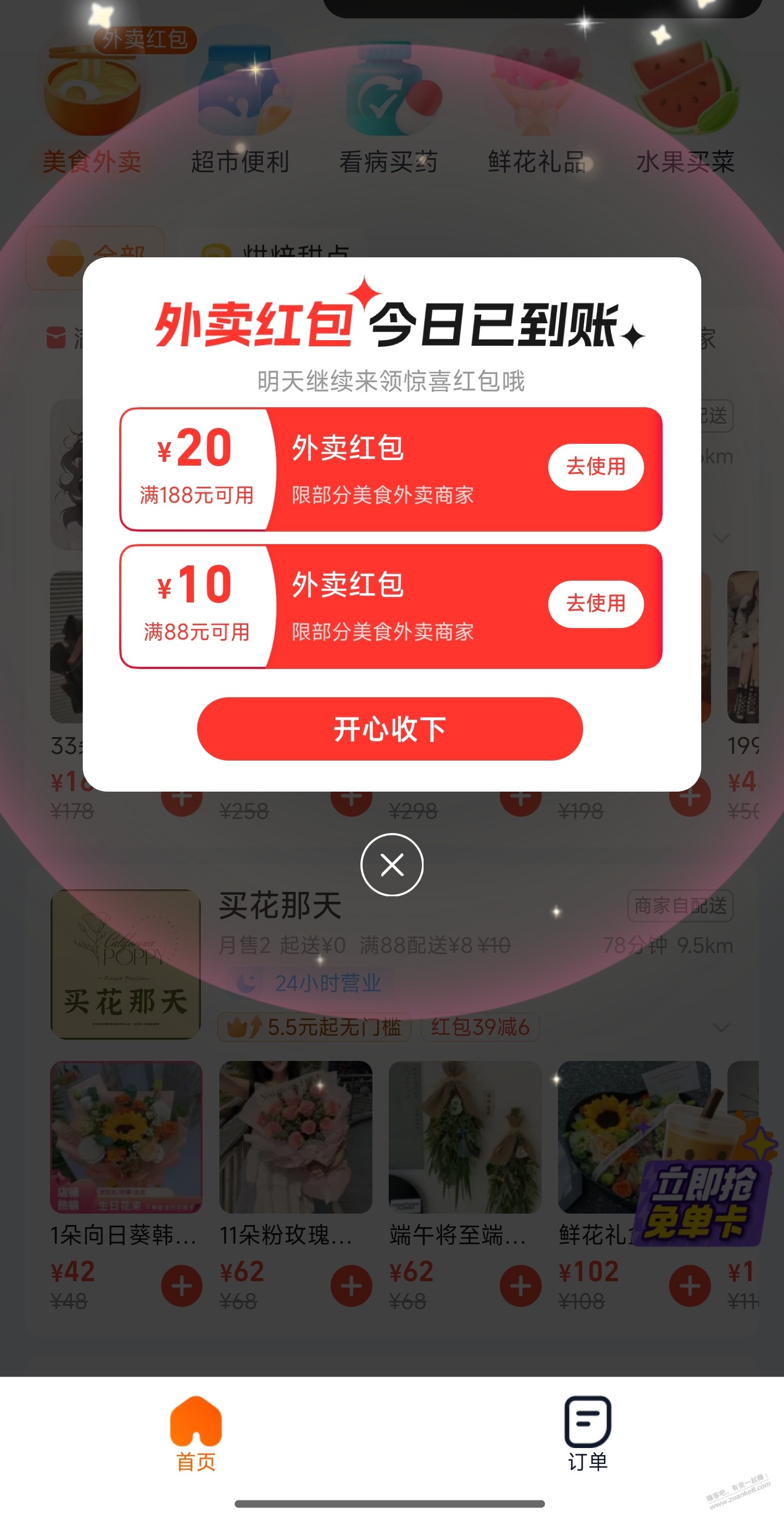 d1.jpg