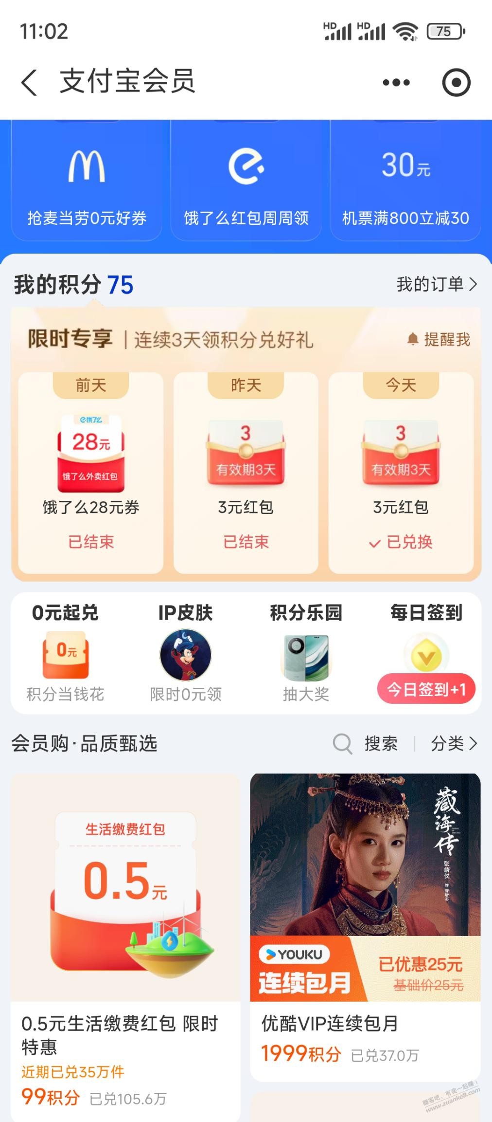 d1.jpg