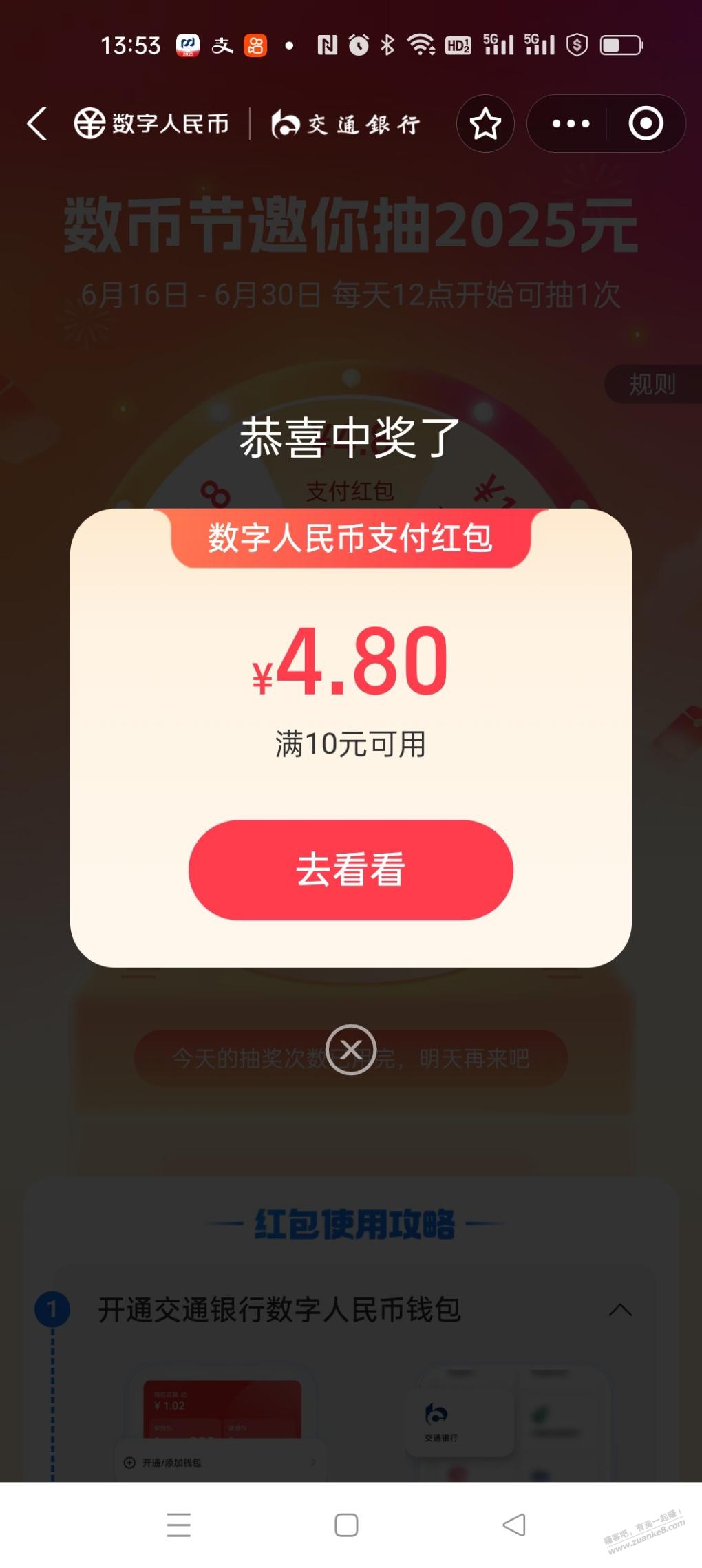 d1.jpg