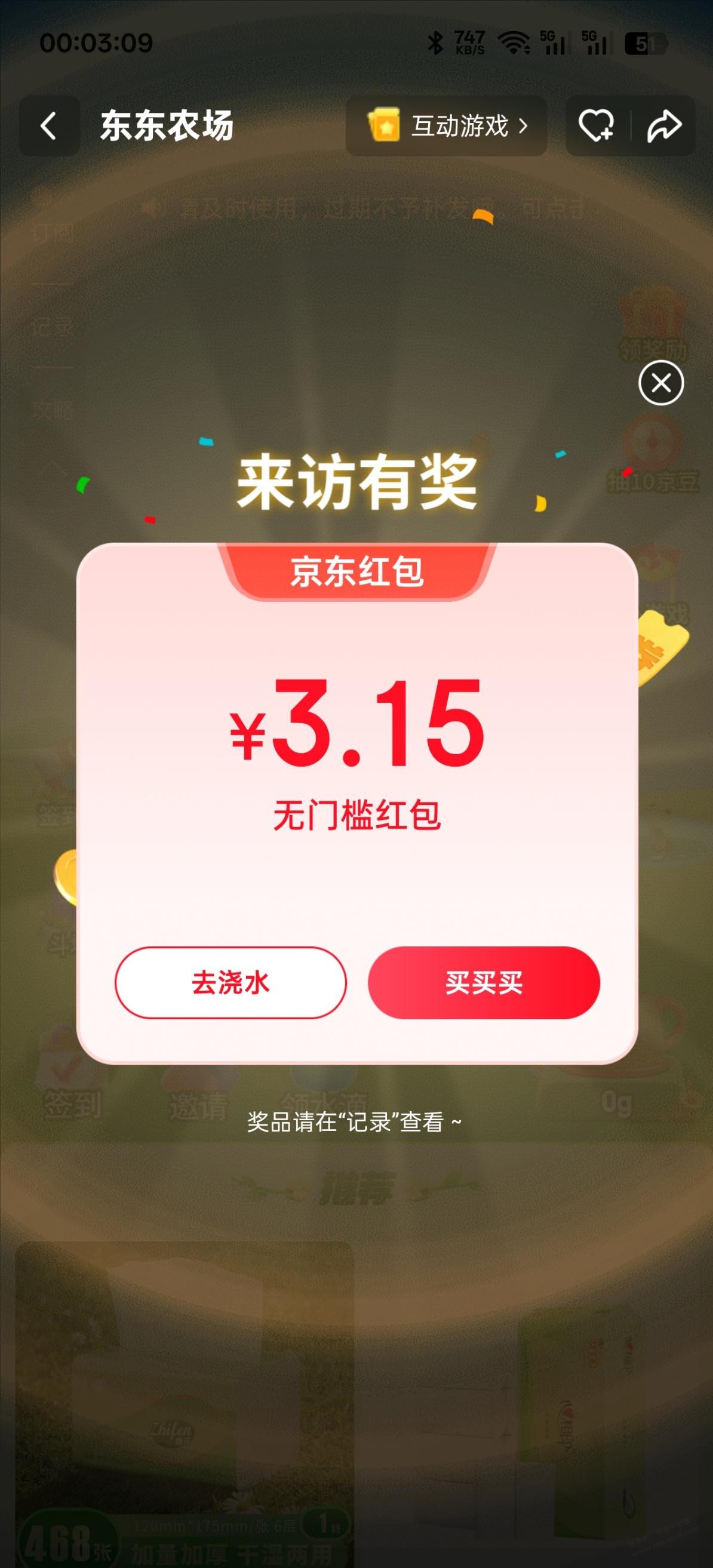 d1.jpg