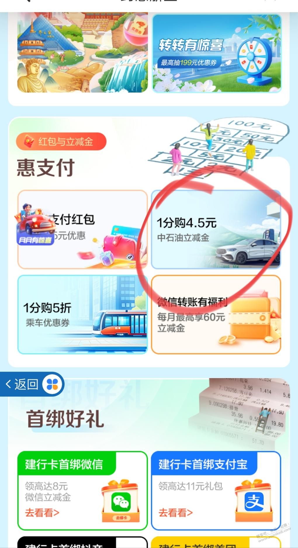 d1.jpg