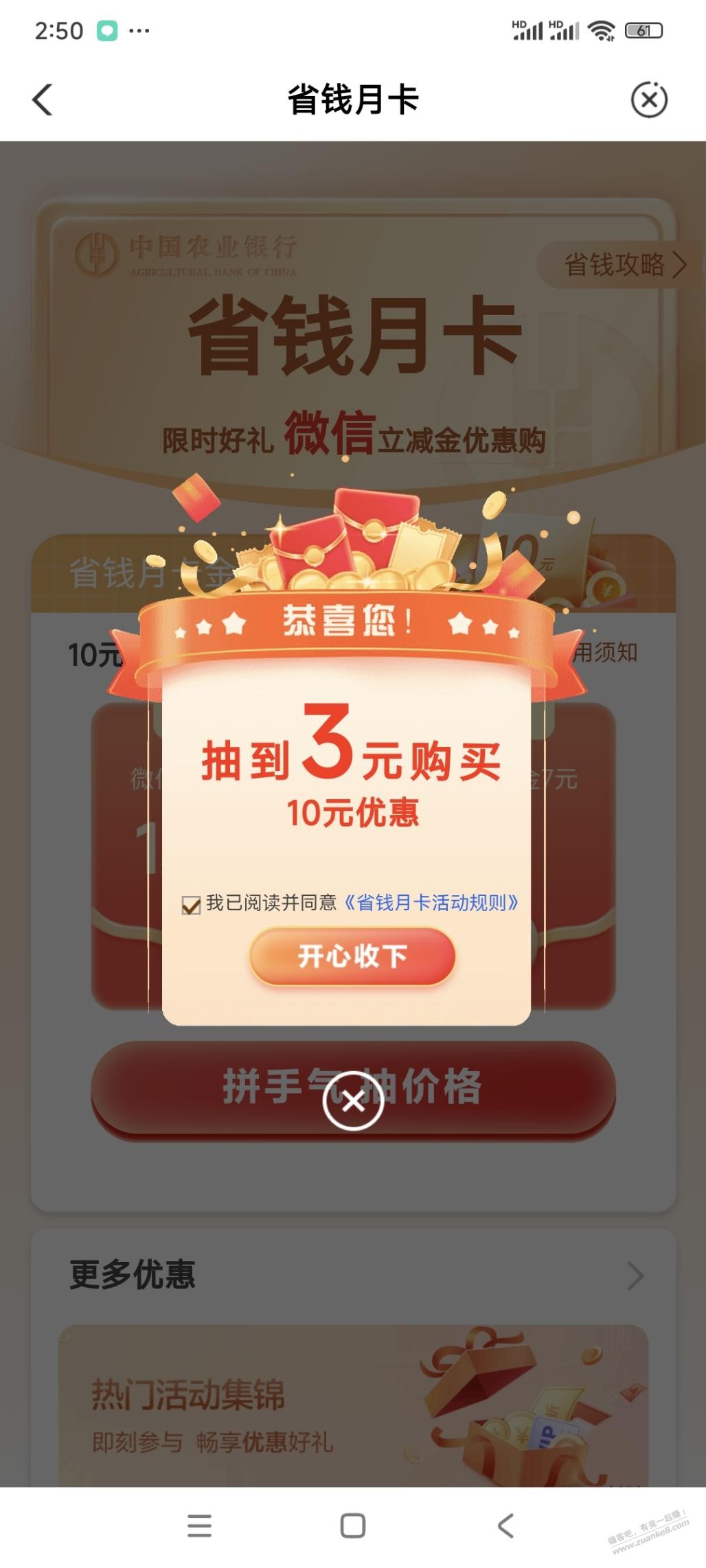 d1.jpg