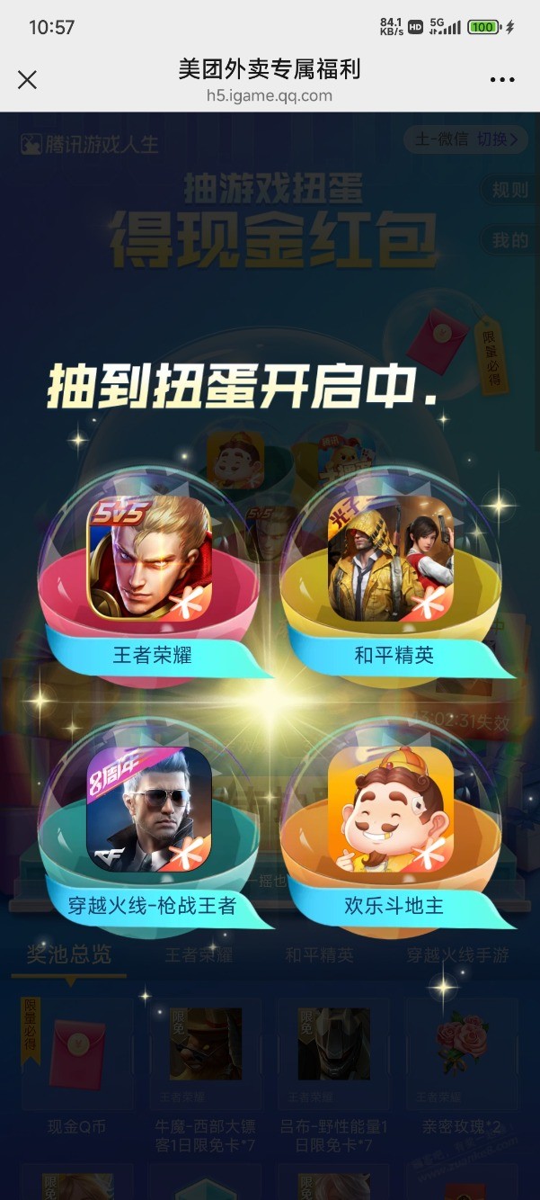 d1.jpg