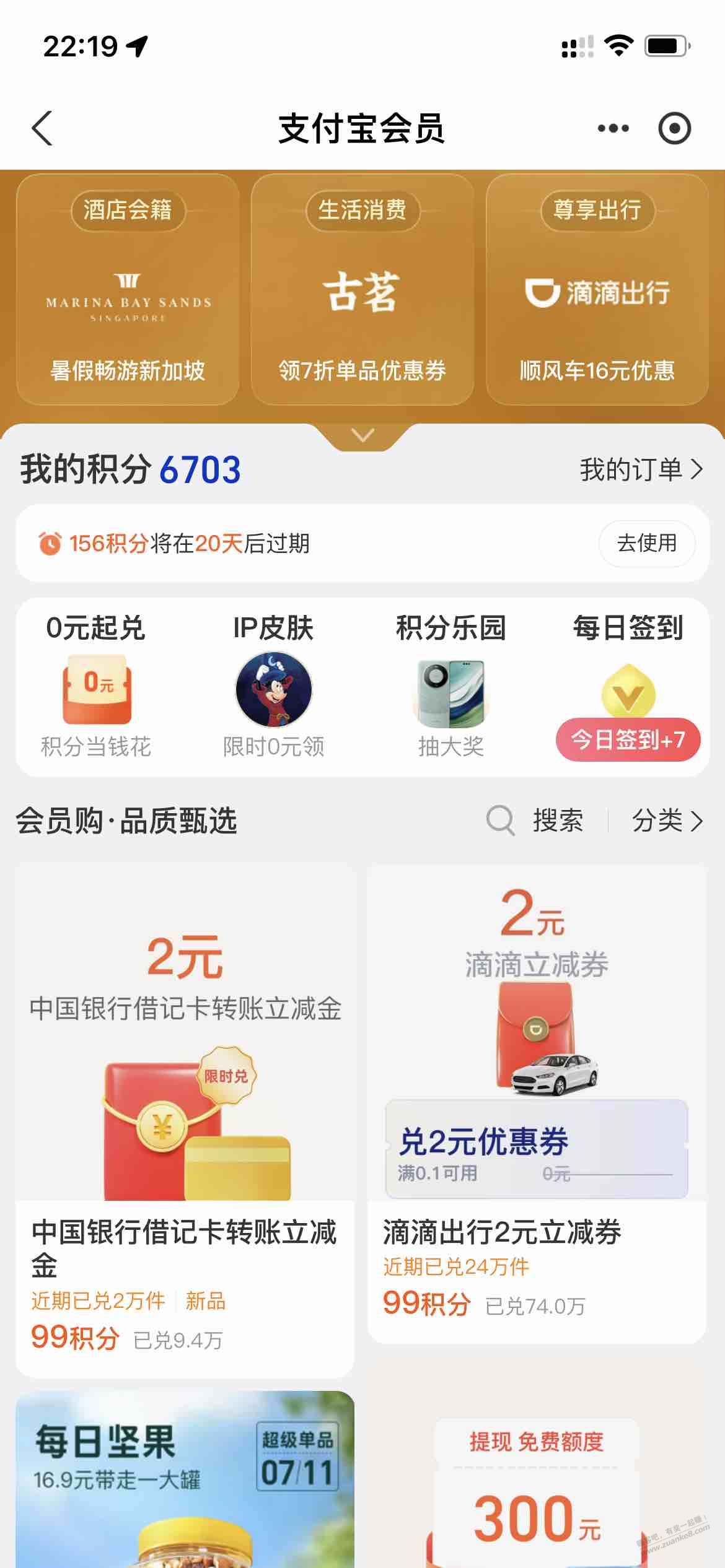 d1.jpg