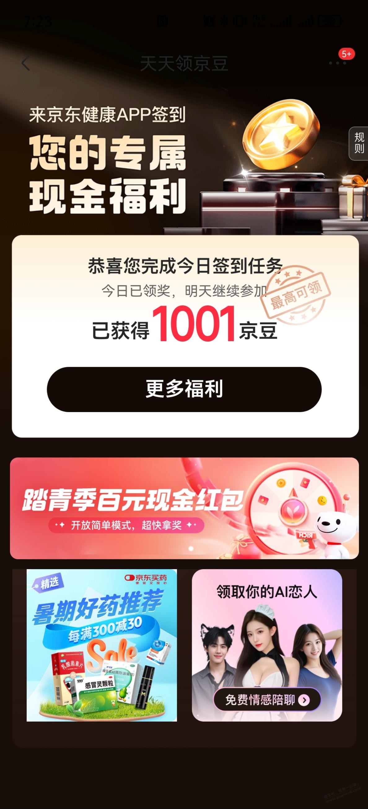 d1.jpg
