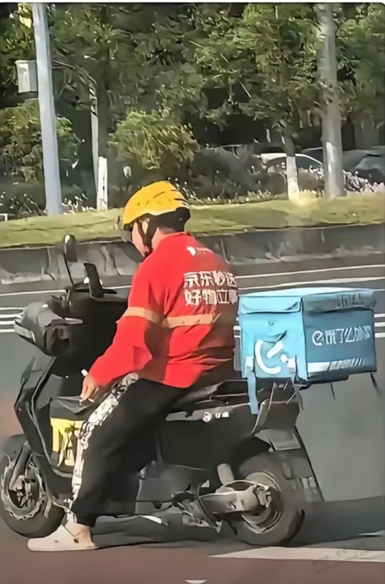 d1.jpeg