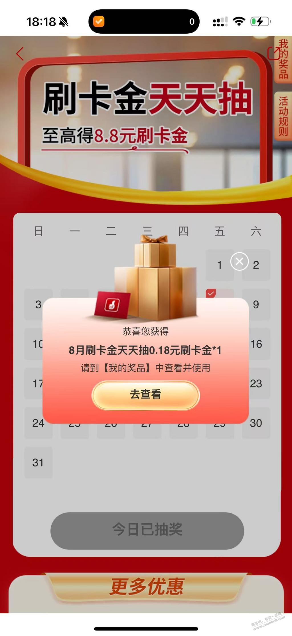 d1.jpg