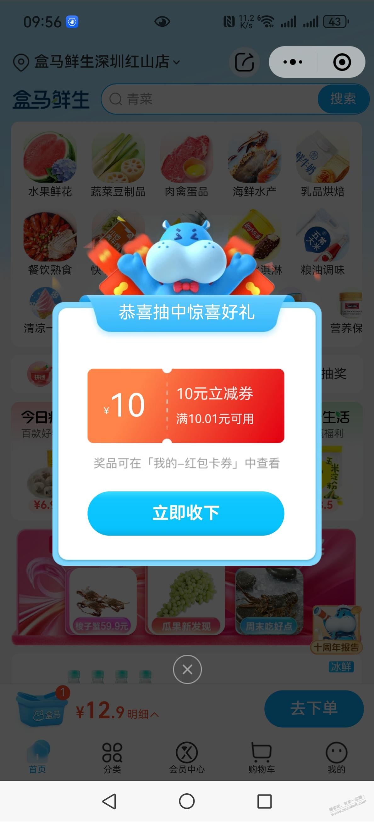 d1.jpg