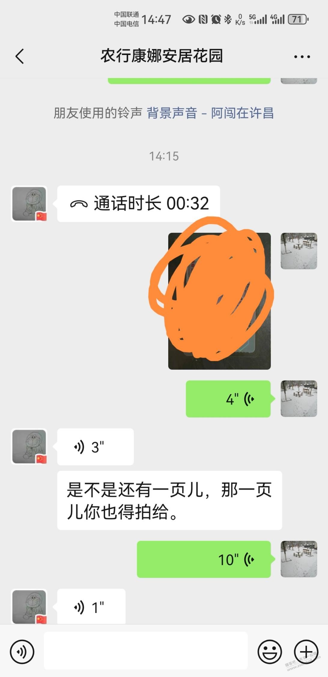 d1.jpg