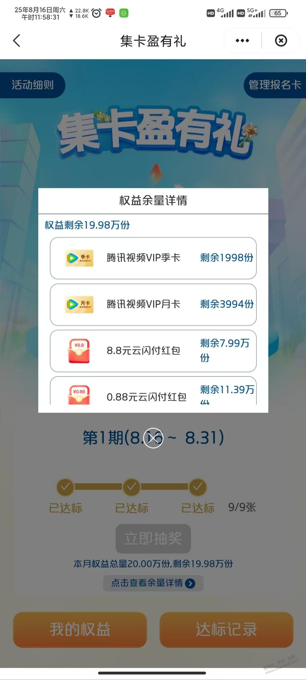 d1.jpg