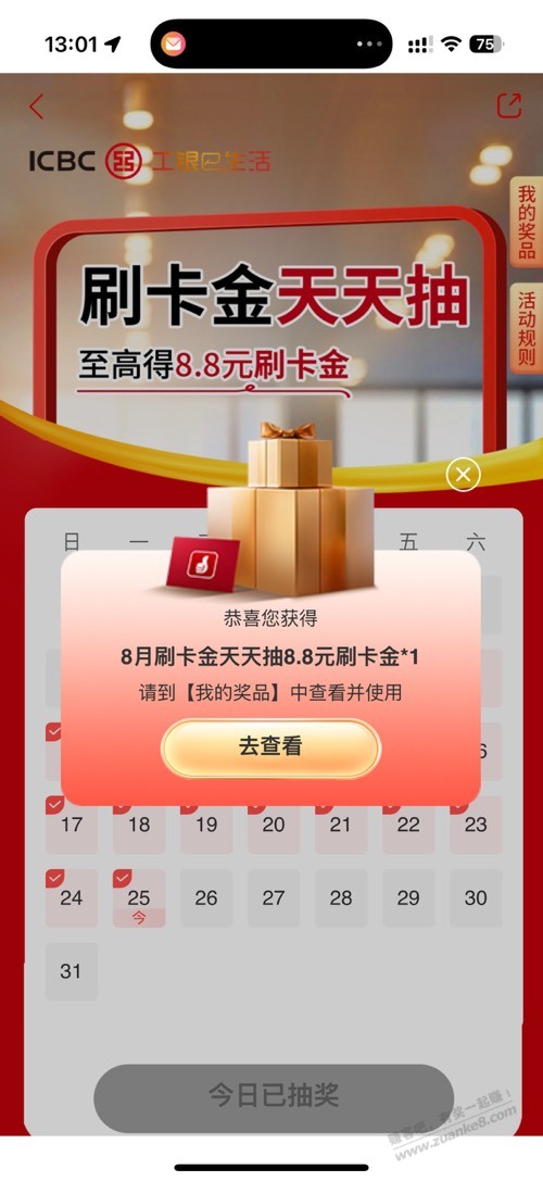 d1.jpg