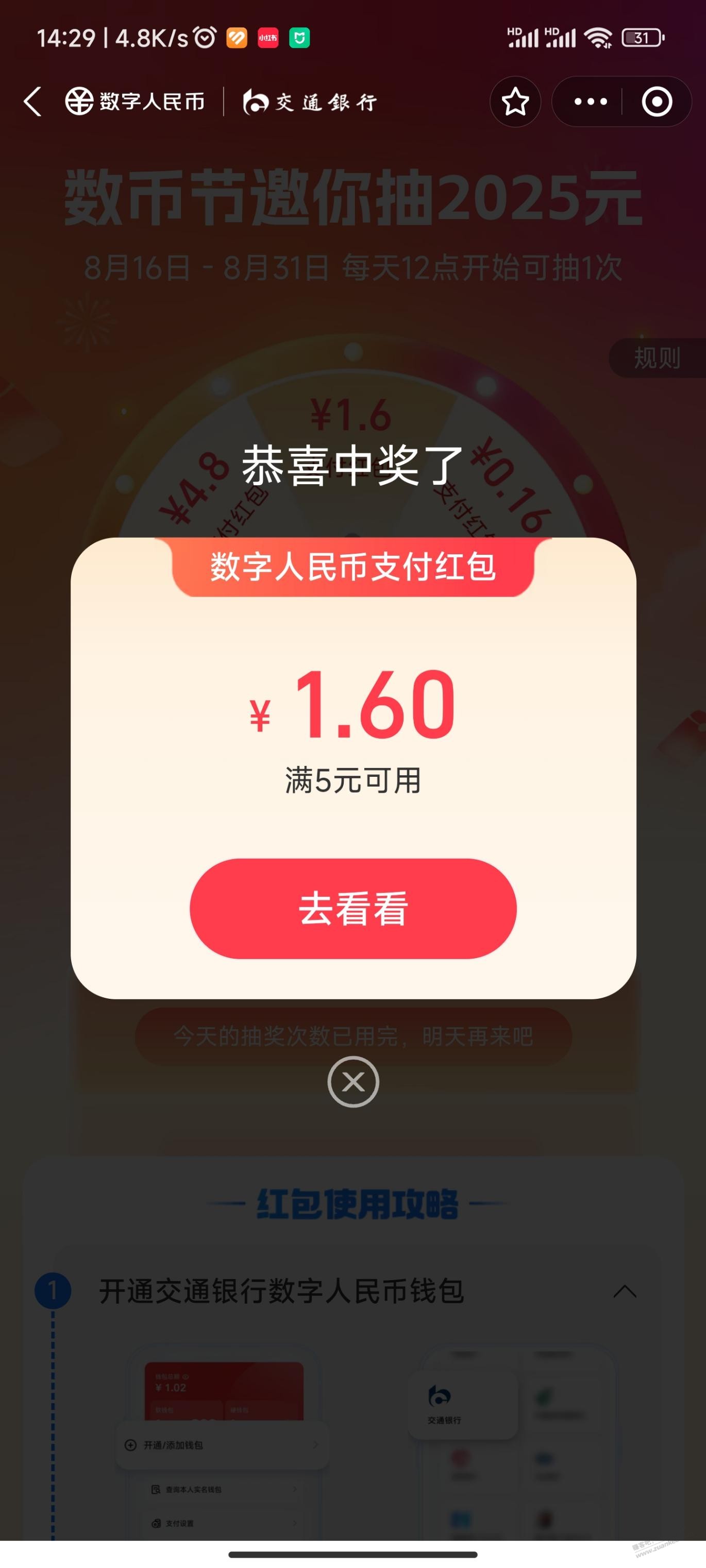 d1.jpg