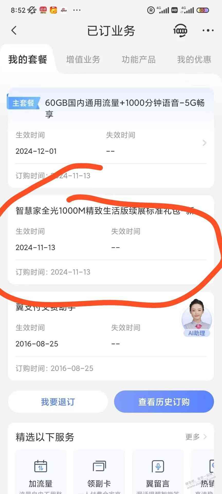 d1.jpg