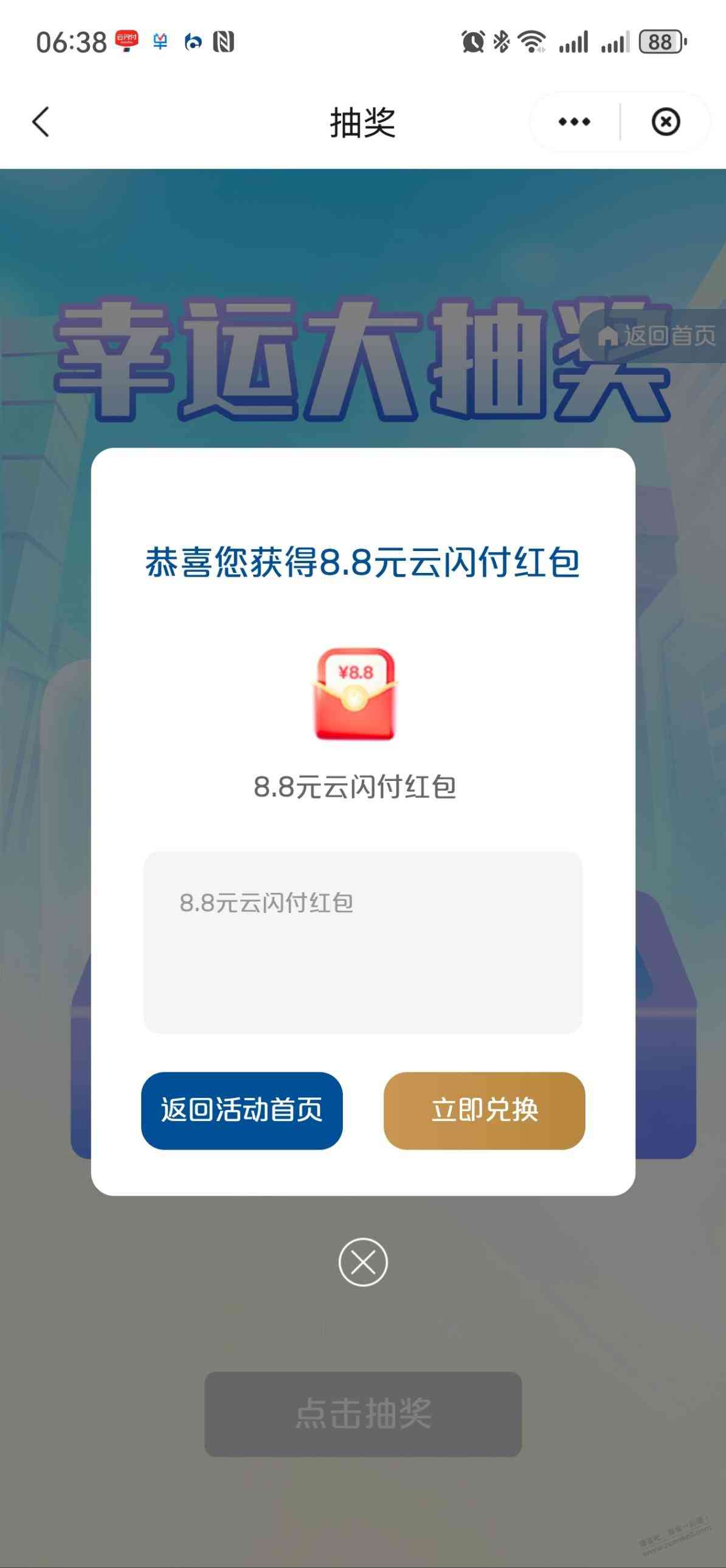 d1.jpg