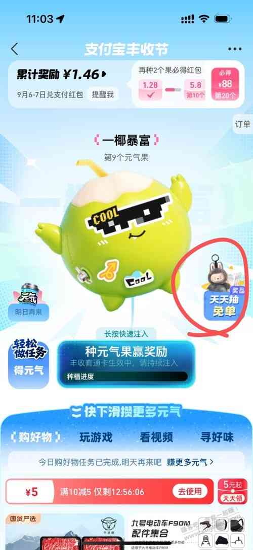 d1.jpg