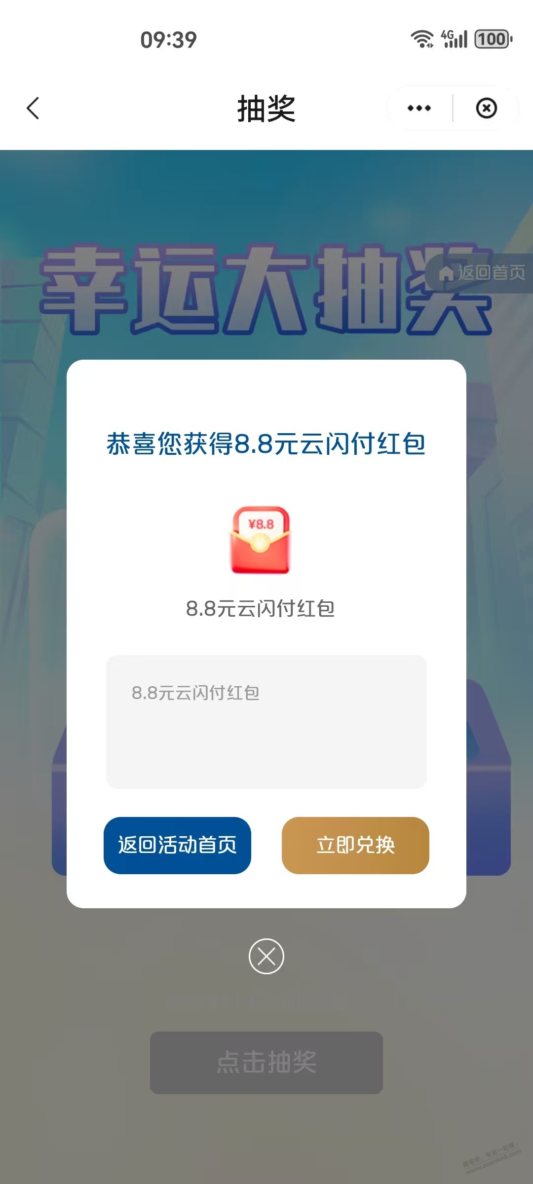 d1.jpg