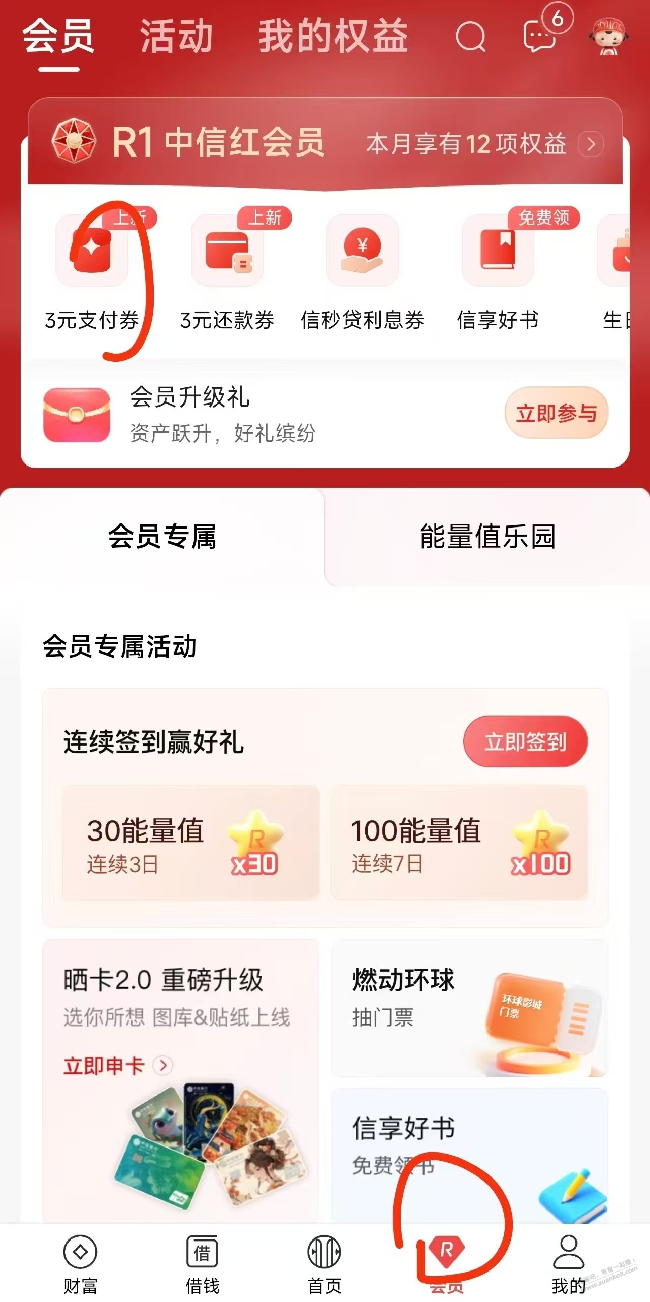 d1.jpg