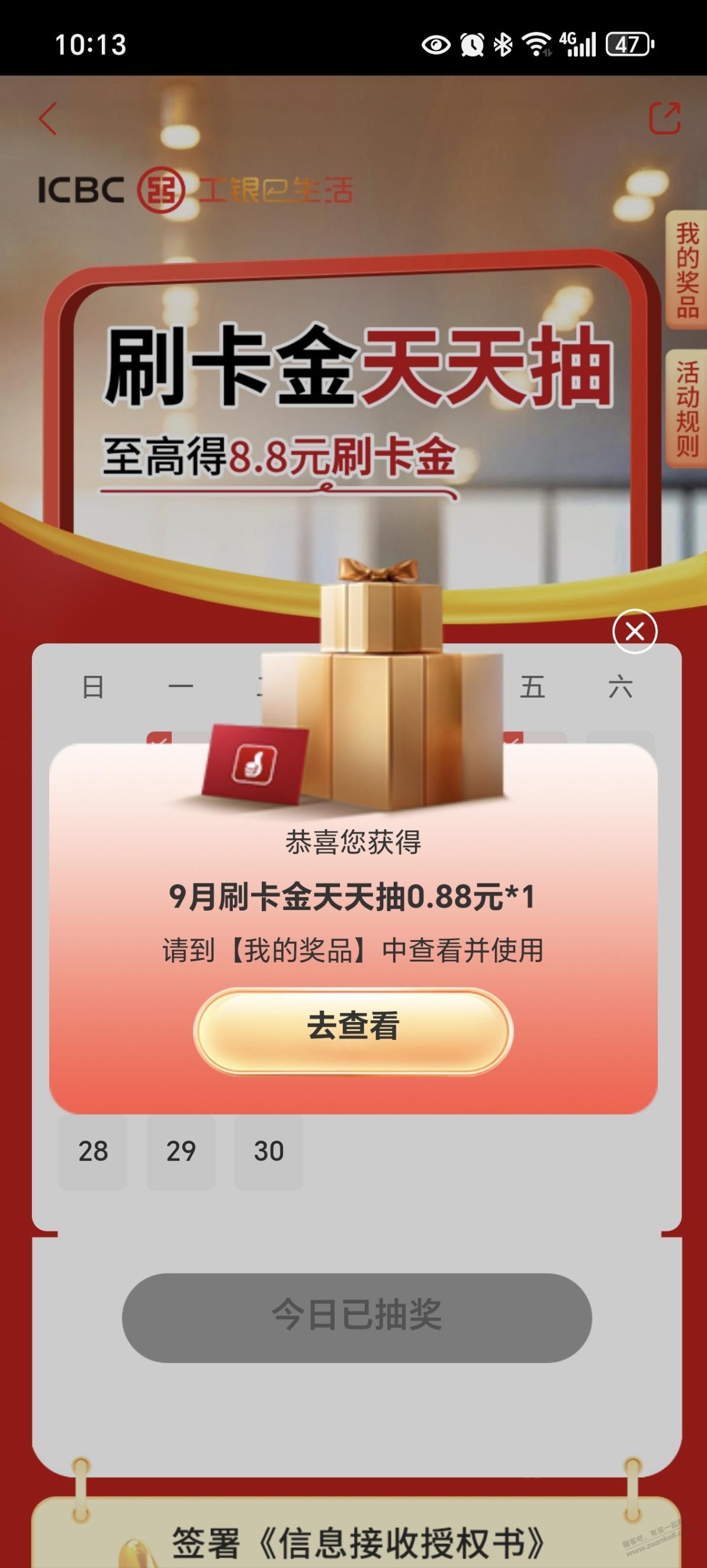 d1.jpg