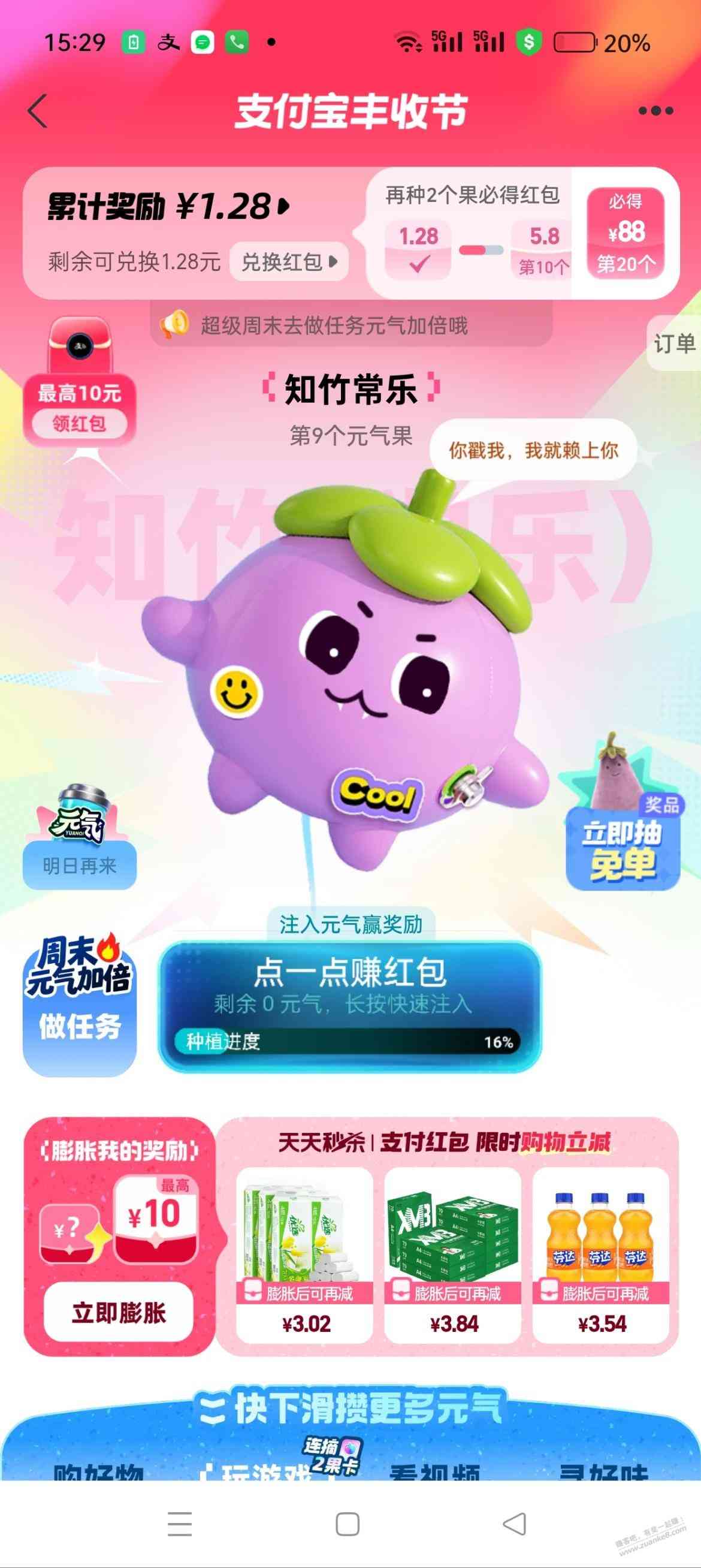 d1.jpg