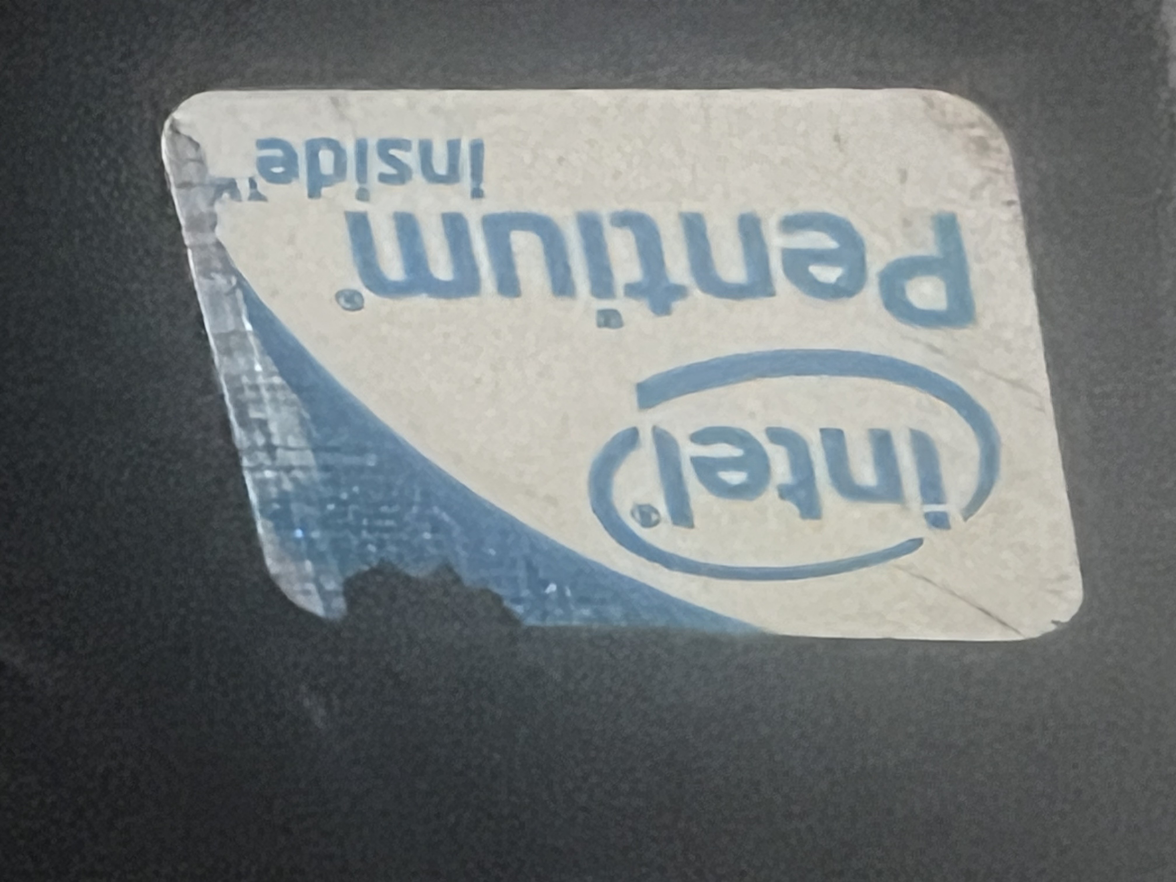 d2.jpeg