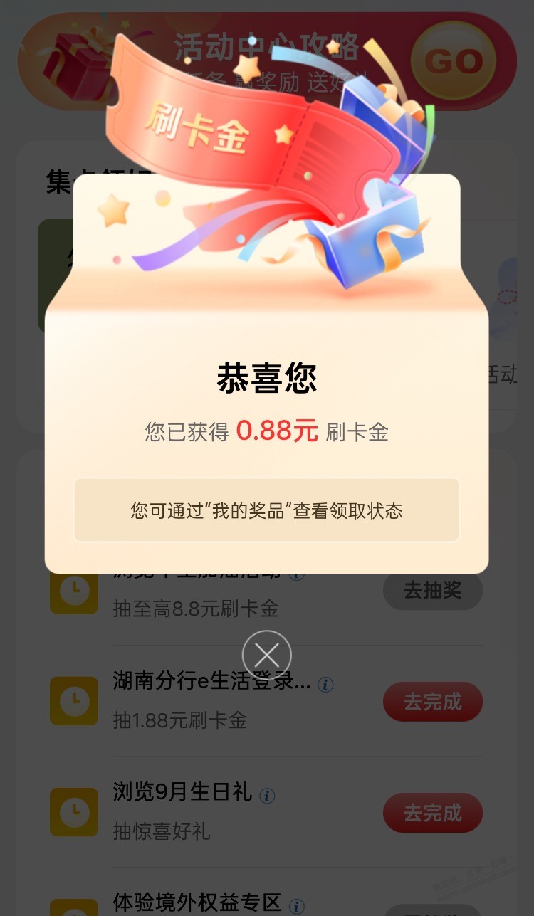 d1.jpg