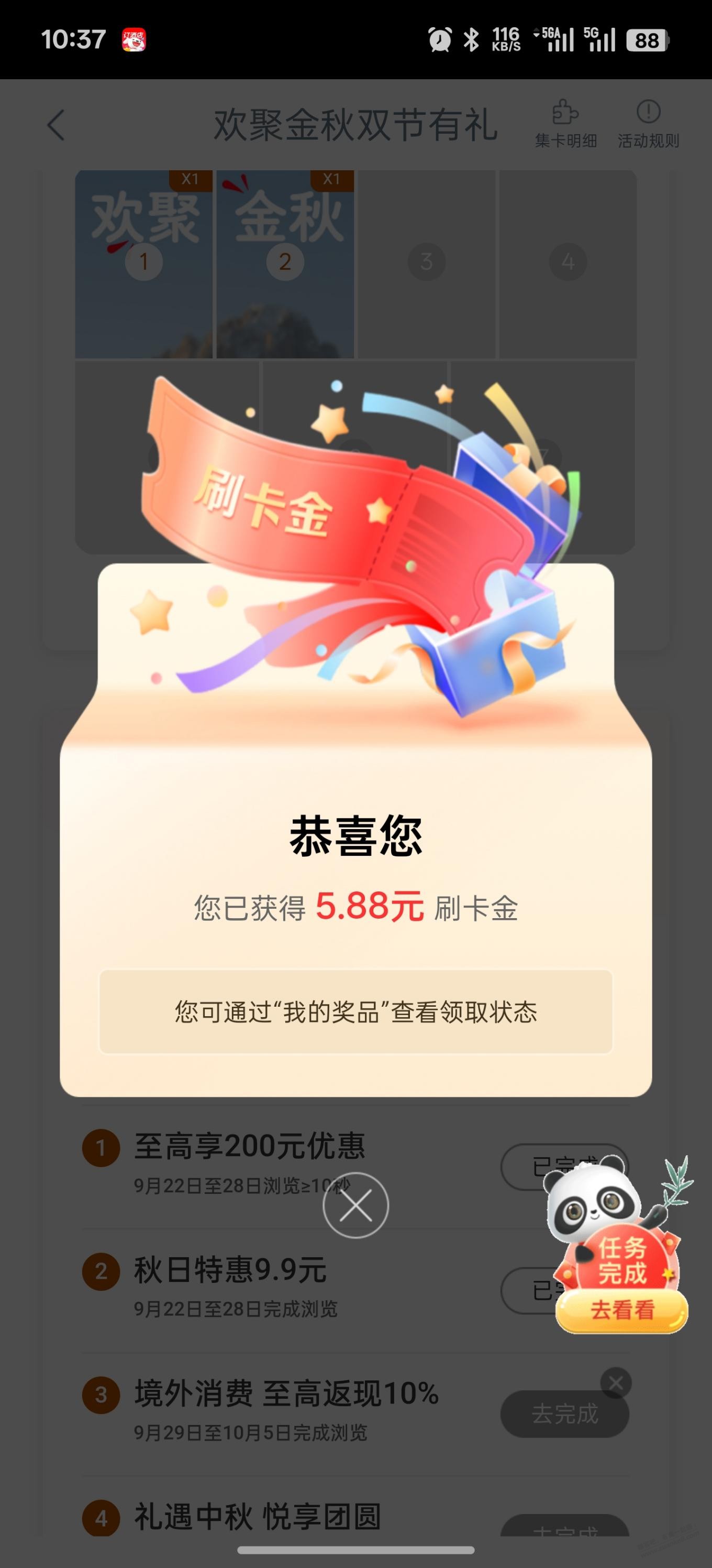 d1.jpg