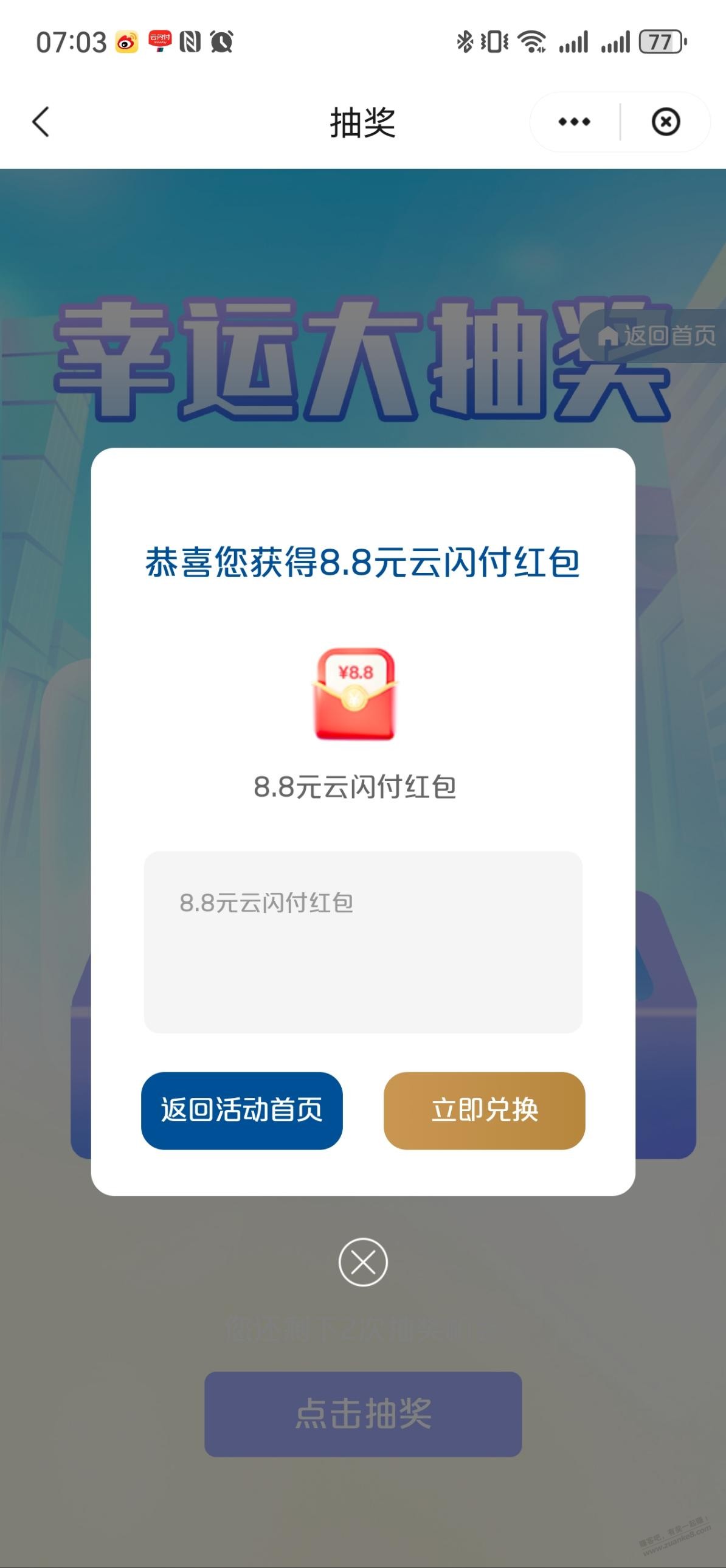 d1.jpg
