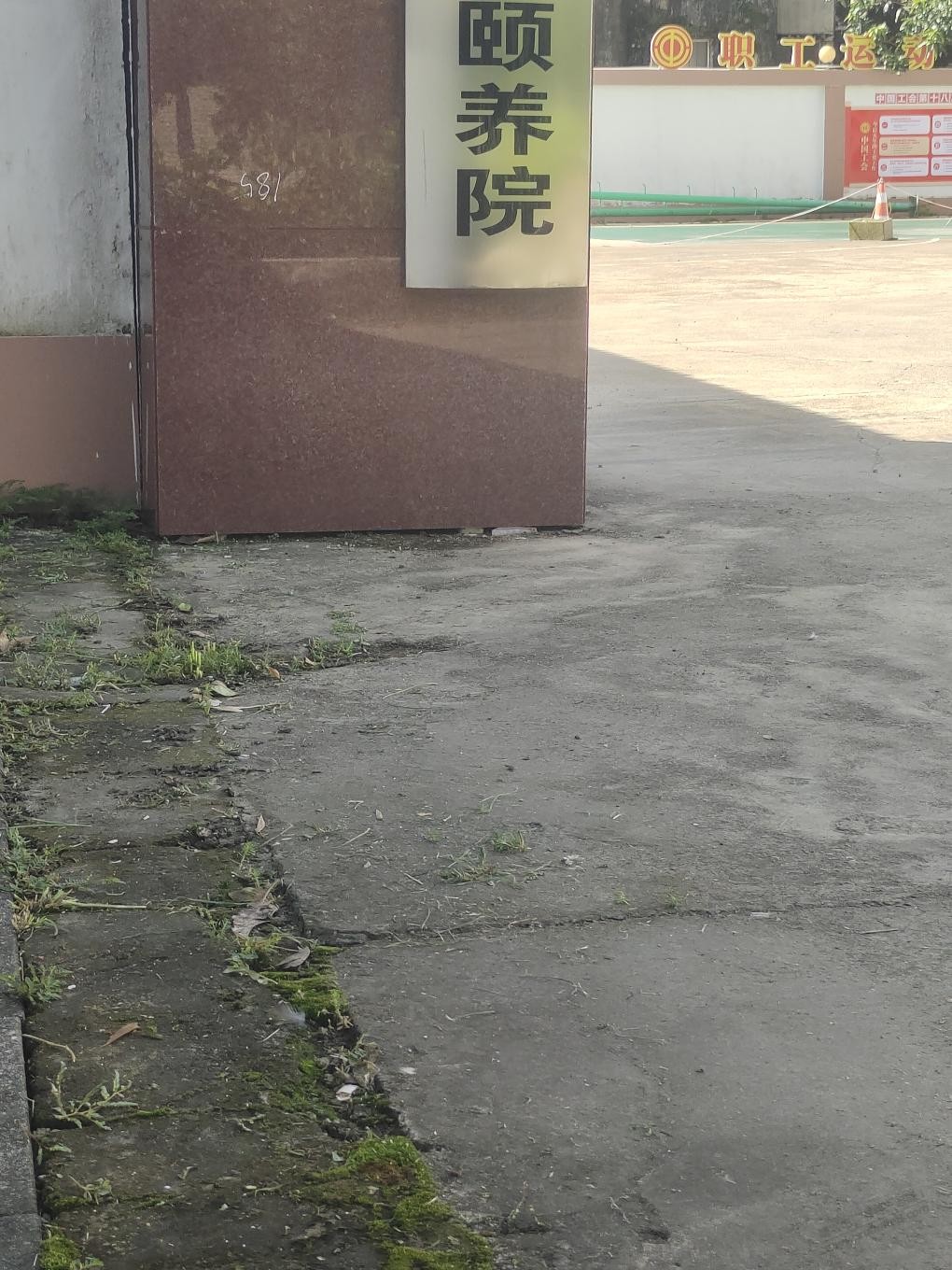 d1.jpg