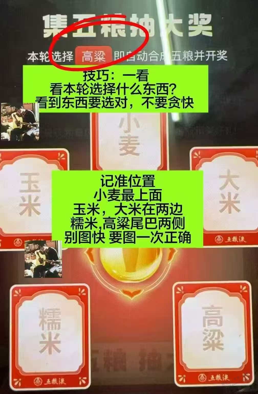 d1.jpg
