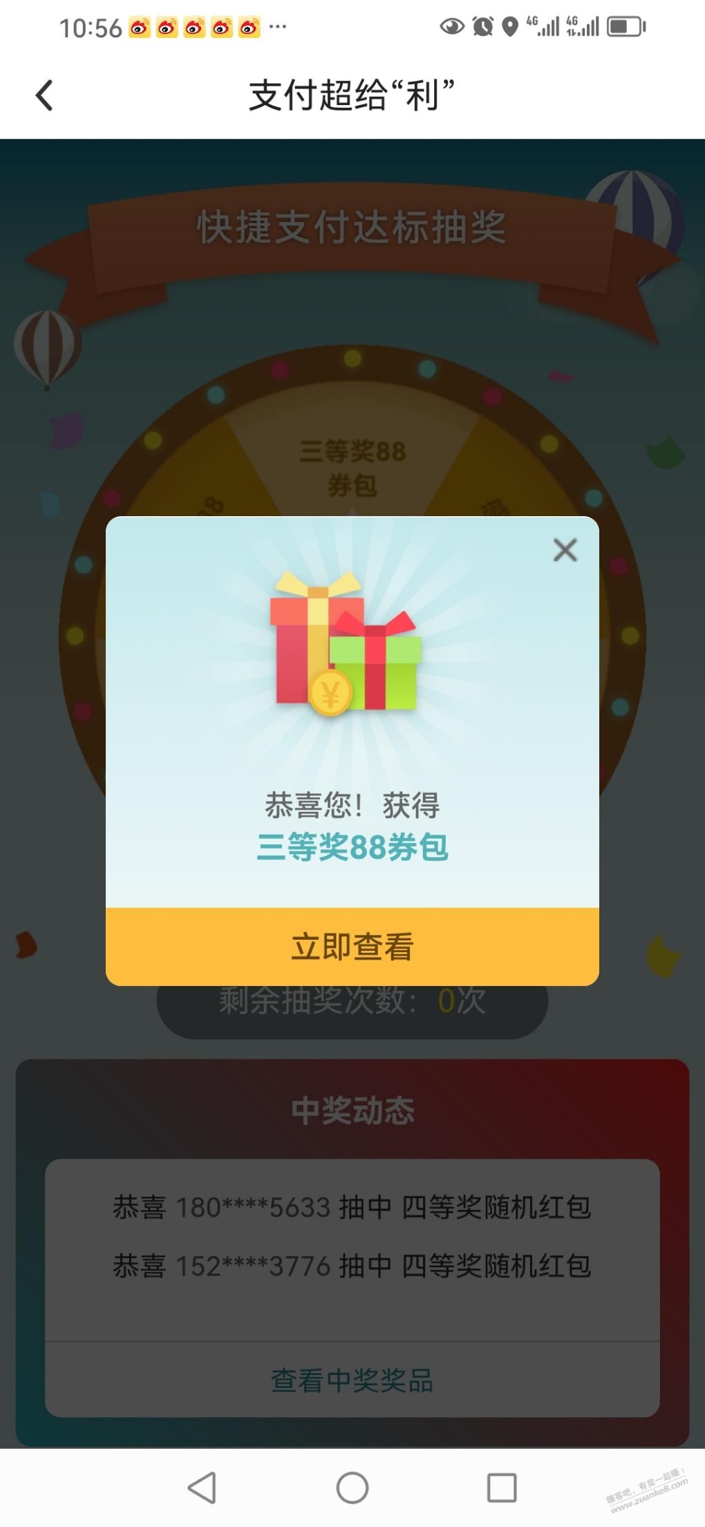 d1.jpg