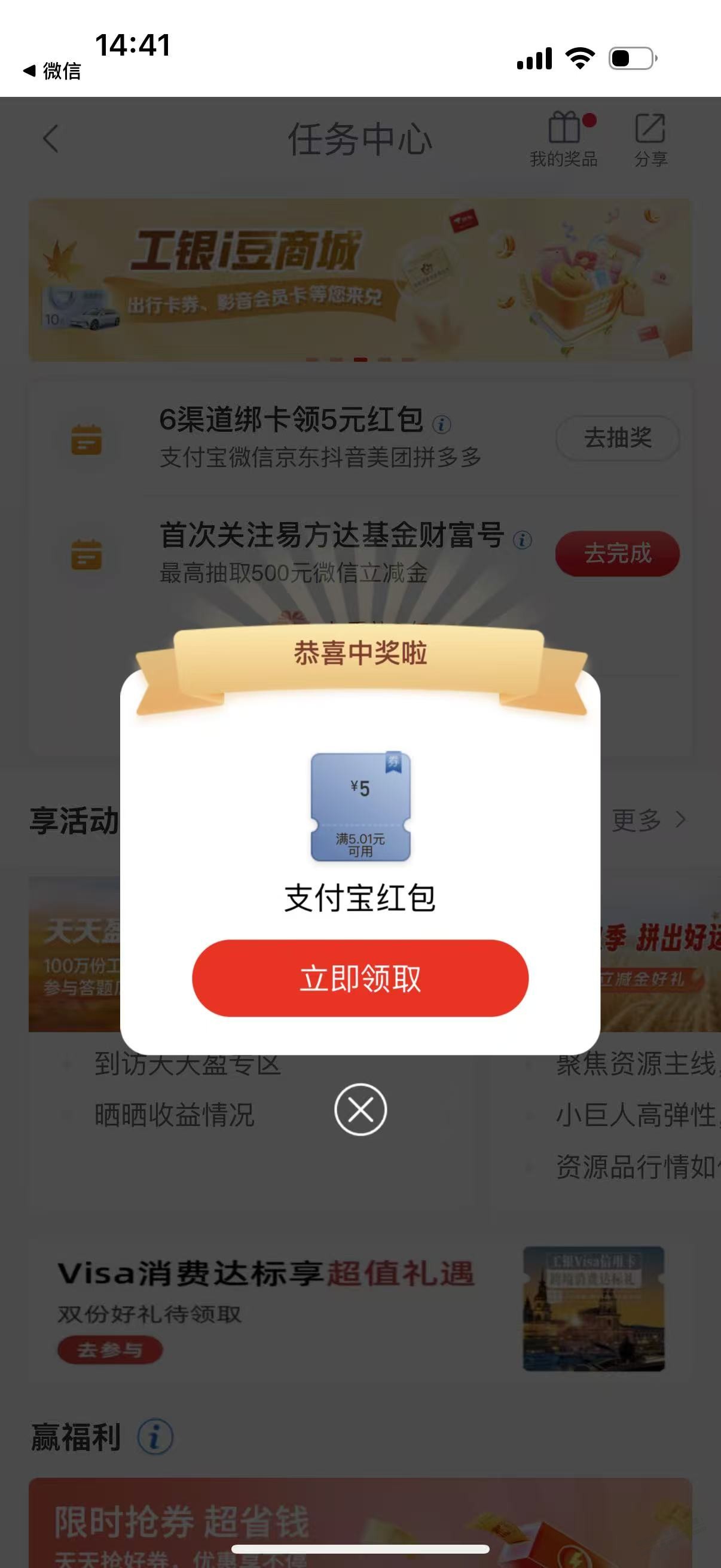 d1.jpg