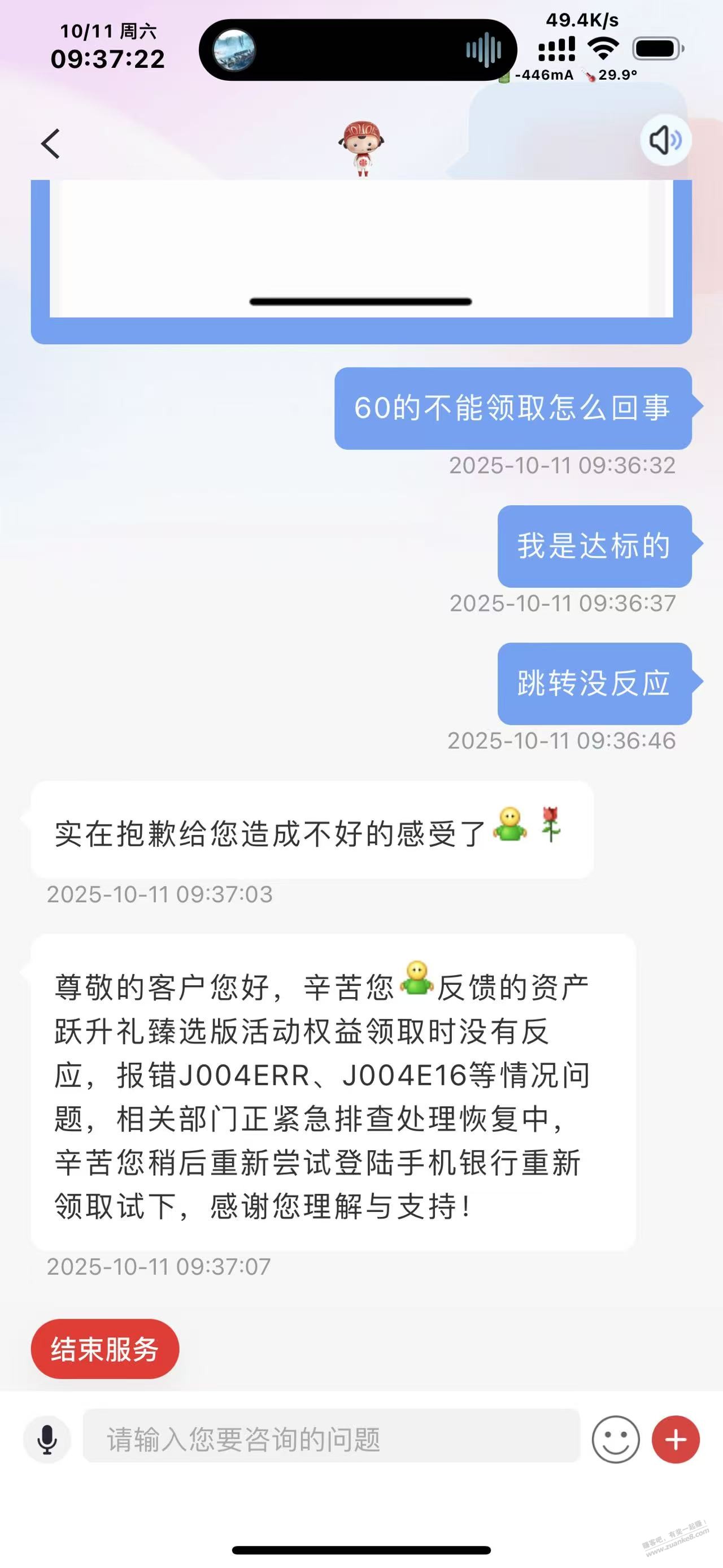 d1.jpg