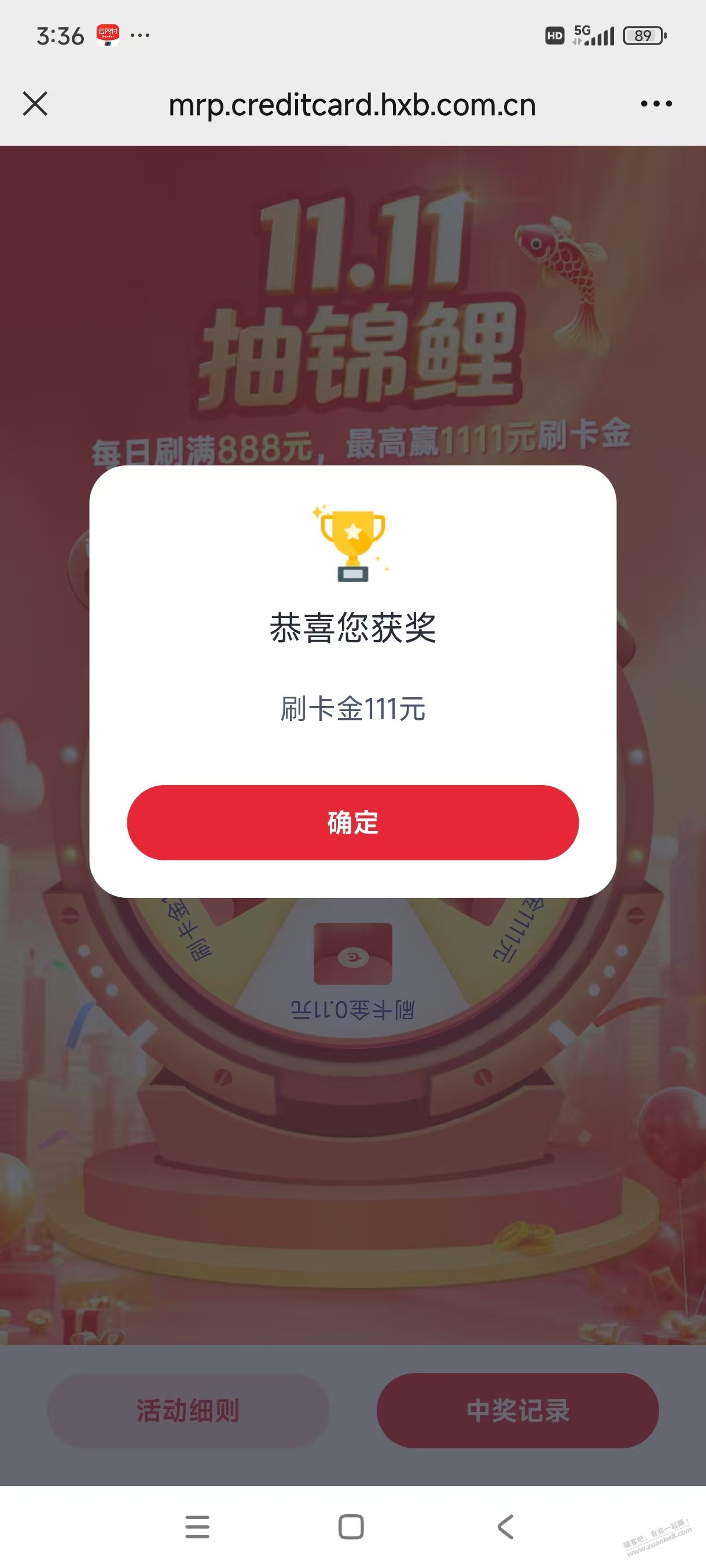 d1.jpg