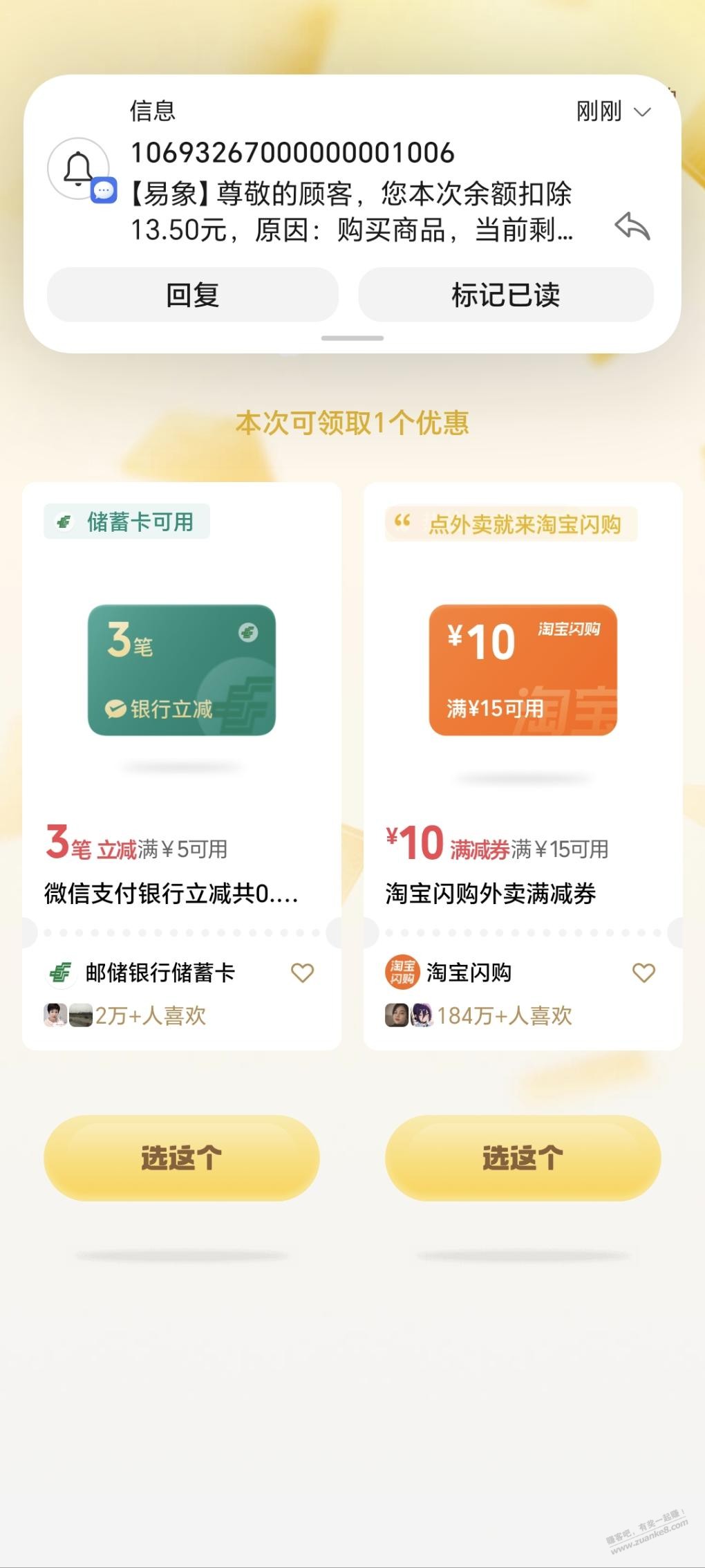 d1.jpg