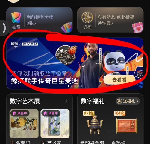 d1.jpg