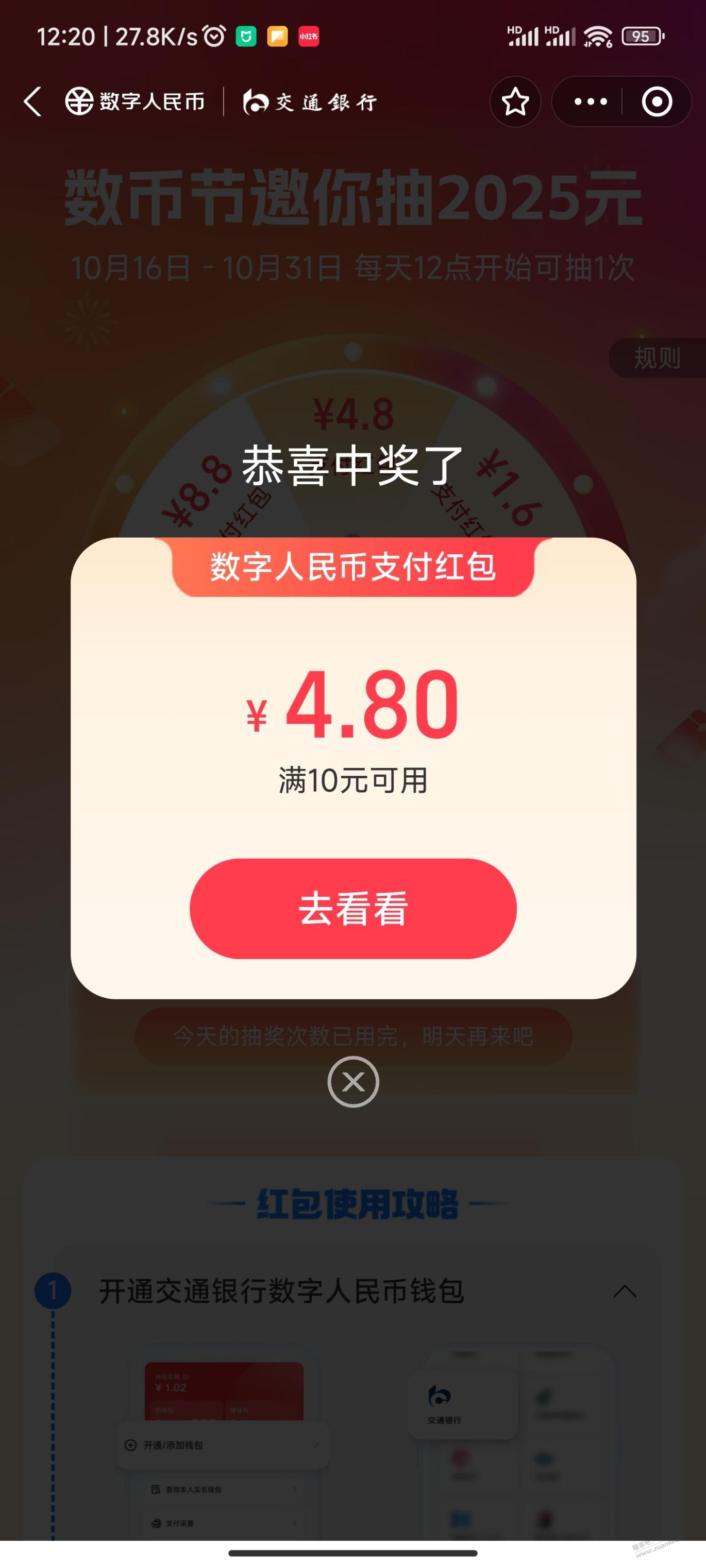d1.jpg