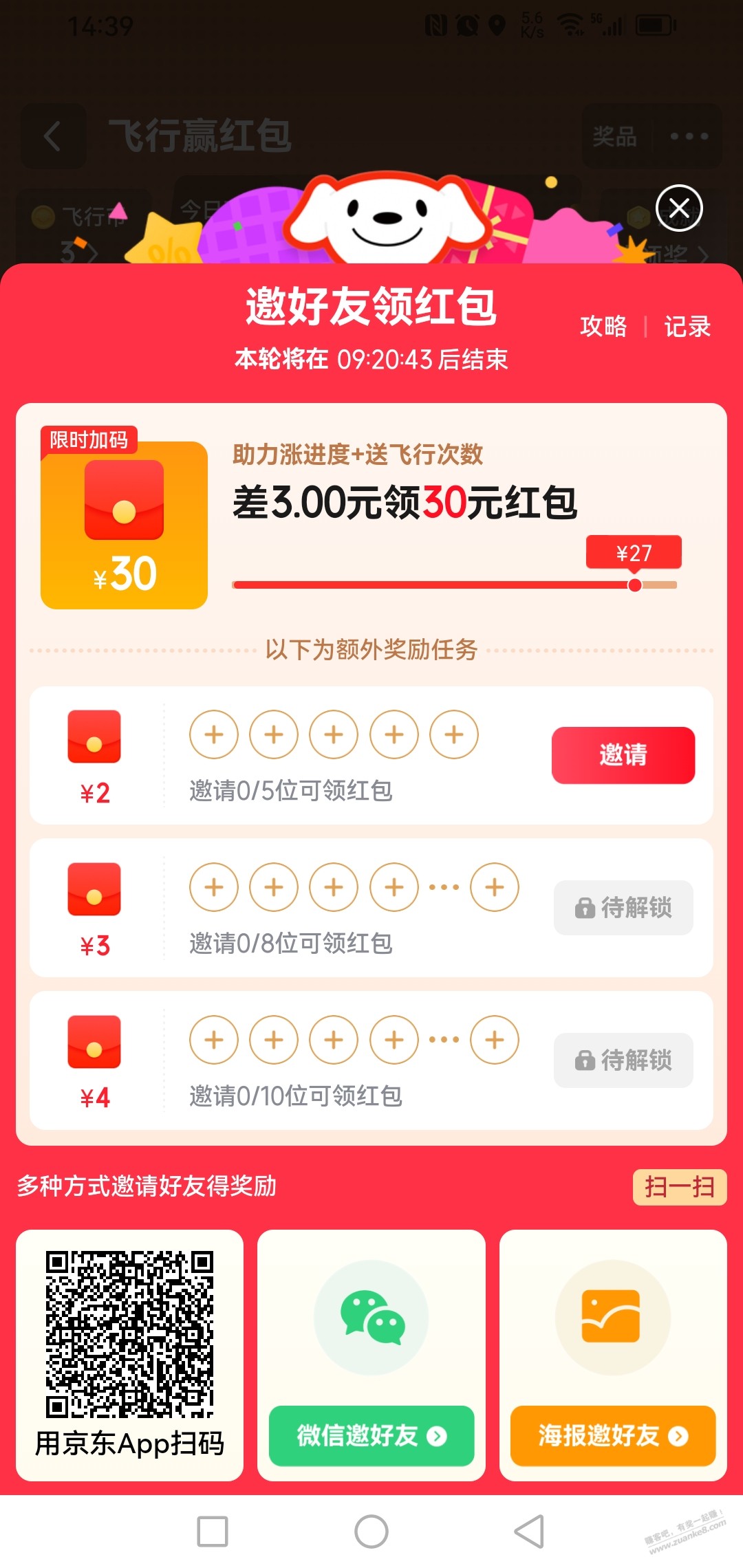 d1.jpg