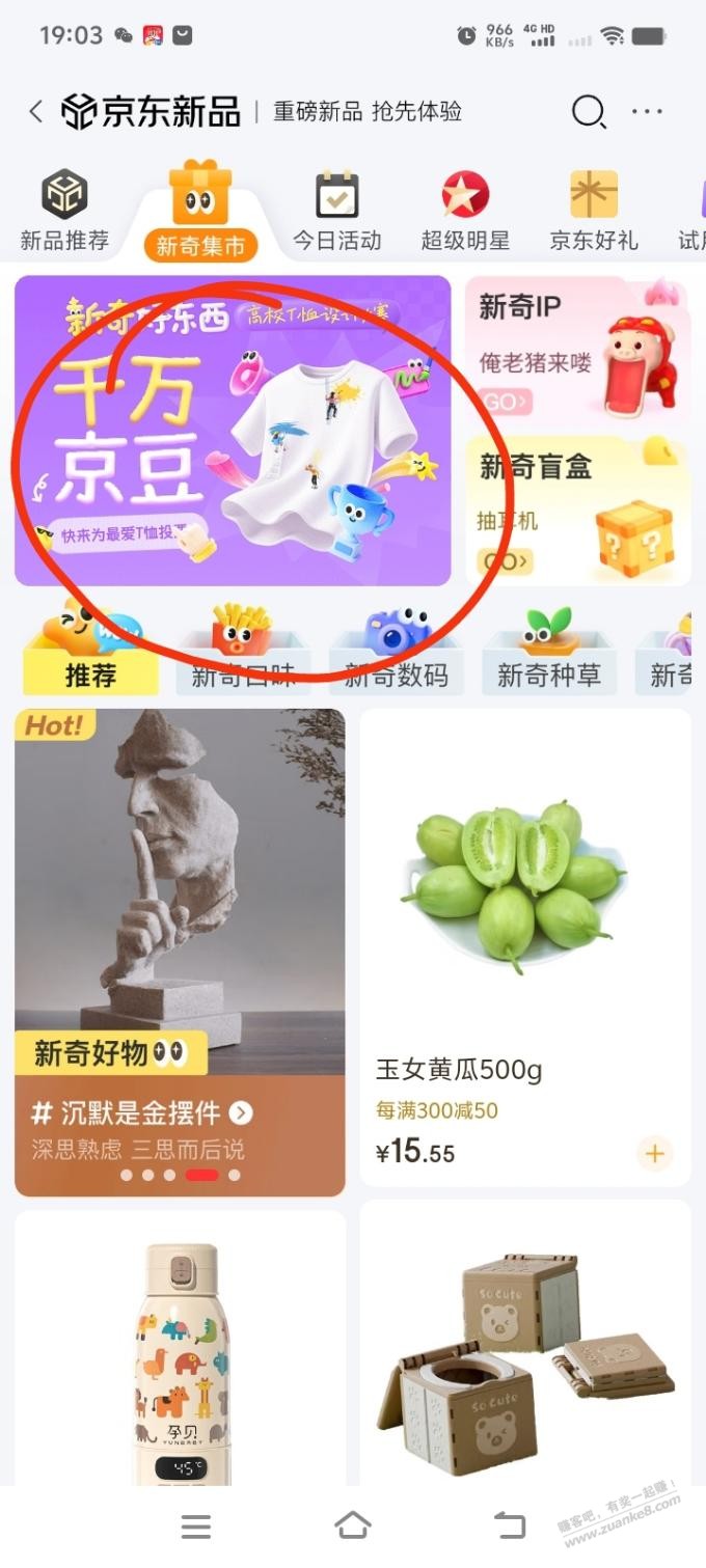 d1.jpg